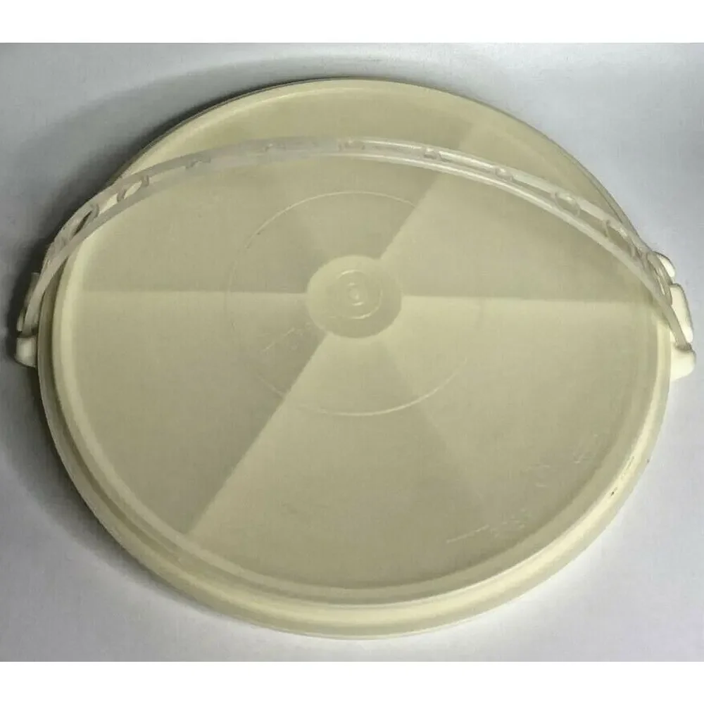 Vintage Tupperware Party Snack Divided Serving Tray‎ With Lid & Strap 405-2 U181